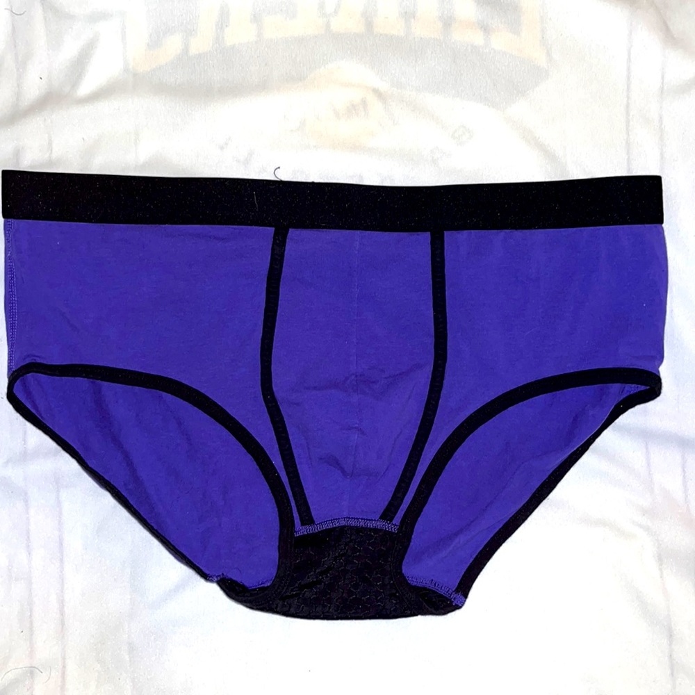 BEAR SKN BRIEFS